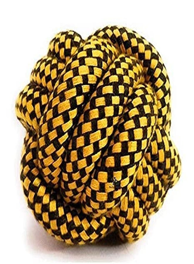 Pups&Pets مجموعة ألعاب القطط والقطط الصغيرة المميزة من Pups&Pets، 6 في 1 - لعبة الترامبولين للقطط | برج المسار | عصا القطط | كرة السيزال | لعبة الفأر القطيفة | لعبة الكرة المضيئة (مجموعة من 6 قطع) - Image 2